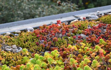 the cost of Eastdown green roof installation